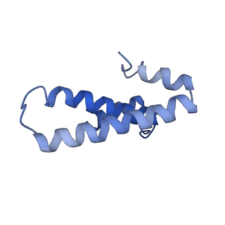 3903_6enu_o_v1-1
Polyproline-stalled ribosome in the presence of elongation-factor P (EF-P)