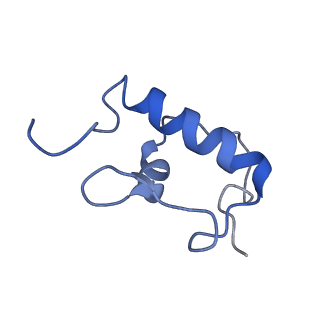 3903_6enu_r_v1-1
Polyproline-stalled ribosome in the presence of elongation-factor P (EF-P)
