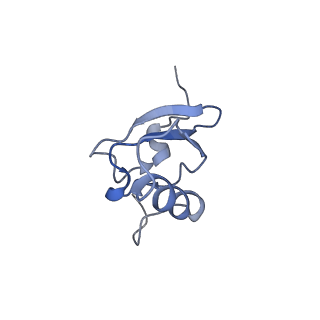3903_6enu_s_v1-1
Polyproline-stalled ribosome in the presence of elongation-factor P (EF-P)