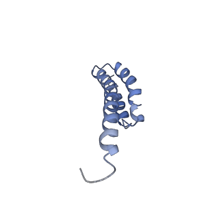 3903_6enu_t_v1-1
Polyproline-stalled ribosome in the presence of elongation-factor P (EF-P)