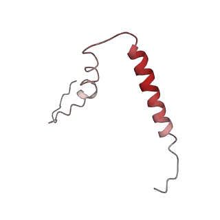 3903_6enu_u_v1-1
Polyproline-stalled ribosome in the presence of elongation-factor P (EF-P)