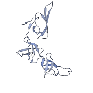 3903_6enu_w_v1-1
Polyproline-stalled ribosome in the presence of elongation-factor P (EF-P)
