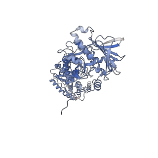 28332_8eoa_B_v1-2
Cryo-EM structure of human HSP90B-AIPL1 complex