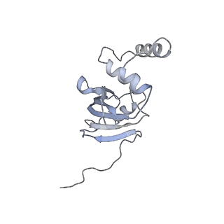 28332_8eoa_C_v1-2
Cryo-EM structure of human HSP90B-AIPL1 complex