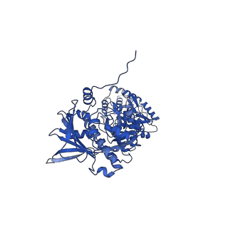 28333_8eob_A_v1-2
Cryo-EM structure of human HSP90B in the closed state