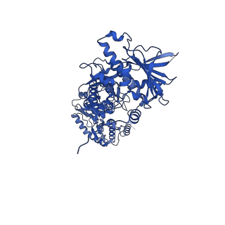 28333_8eob_B_v1-2
Cryo-EM structure of human HSP90B in the closed state