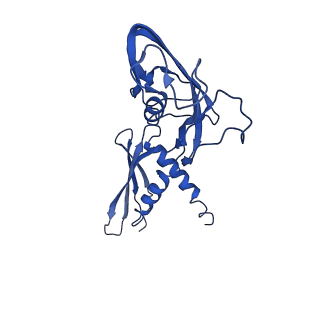 28373_8eoe_A_v1-1
Mycobacterium tuberculosis transcription elongation complex with Bacillus subtilis NusG (EC_LG)