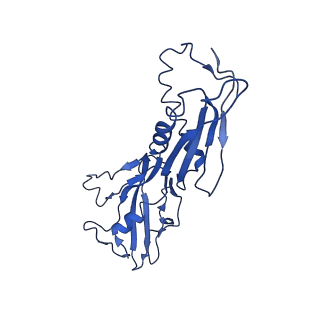28373_8eoe_B_v1-1
Mycobacterium tuberculosis transcription elongation complex with Bacillus subtilis NusG (EC_LG)