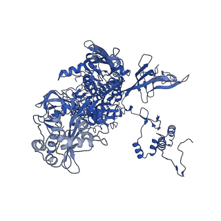 28373_8eoe_C_v1-1
Mycobacterium tuberculosis transcription elongation complex with Bacillus subtilis NusG (EC_LG)
