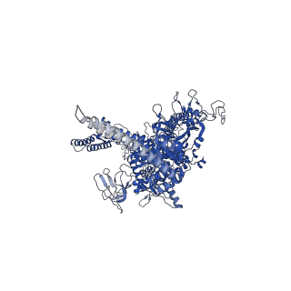 28373_8eoe_D_v1-1
Mycobacterium tuberculosis transcription elongation complex with Bacillus subtilis NusG (EC_LG)
