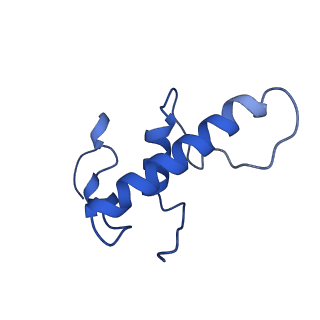 28373_8eoe_E_v1-1
Mycobacterium tuberculosis transcription elongation complex with Bacillus subtilis NusG (EC_LG)