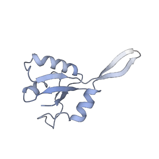 28373_8eoe_G_v1-1
Mycobacterium tuberculosis transcription elongation complex with Bacillus subtilis NusG (EC_LG)