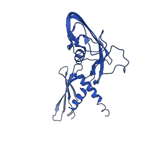 28374_8eof_A_v1-1
Mycobacterium tuberculosis transcription elongation complex with Bacillus subtilis NusG (EC_PG)
