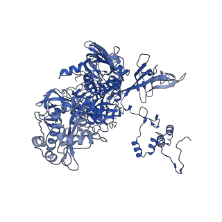 28374_8eof_C_v1-1
Mycobacterium tuberculosis transcription elongation complex with Bacillus subtilis NusG (EC_PG)