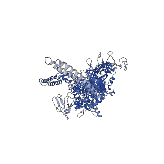28374_8eof_D_v1-1
Mycobacterium tuberculosis transcription elongation complex with Bacillus subtilis NusG (EC_PG)