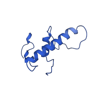 28374_8eof_E_v1-1
Mycobacterium tuberculosis transcription elongation complex with Bacillus subtilis NusG (EC_PG)
