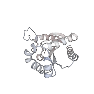 28375_8eog_C_v1-1
Structure of the human L-type voltage-gated calcium channel Cav1.2 complexed with L-leucine