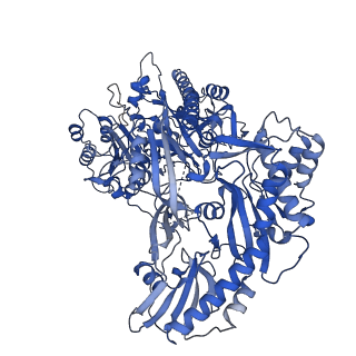 28375_8eog_D_v1-1
Structure of the human L-type voltage-gated calcium channel Cav1.2 complexed with L-leucine