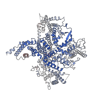 28375_8eog_K_v1-1
Structure of the human L-type voltage-gated calcium channel Cav1.2 complexed with L-leucine