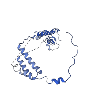 28376_8eoi_C_v1-1
Structure of a human EMC:human Cav1.2 channel complex in GDN detergent