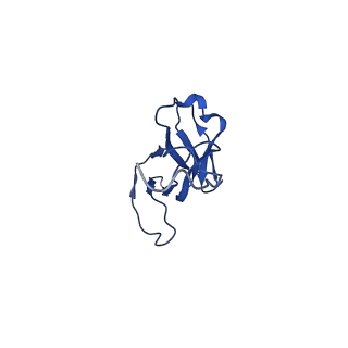 28376_8eoi_G_v1-1
Structure of a human EMC:human Cav1.2 channel complex in GDN detergent