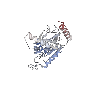 28376_8eoi_J_v1-1
Structure of a human EMC:human Cav1.2 channel complex in GDN detergent