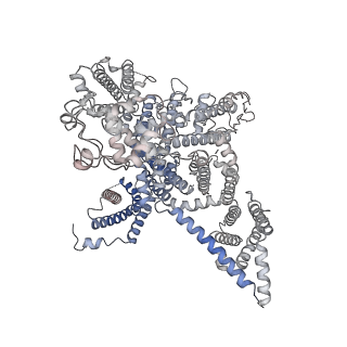 28376_8eoi_K_v1-1
Structure of a human EMC:human Cav1.2 channel complex in GDN detergent