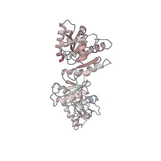 28377_8eoj_A_v1-1
Microsomal triglyceride transfer protein