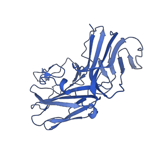 28378_8eok_A_v1-0
Structure of the C3bB proconvertase in complex with lufaxin and factor Xa