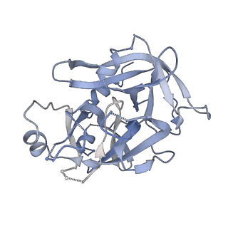 28378_8eok_C_v1-0
Structure of the C3bB proconvertase in complex with lufaxin and factor Xa
