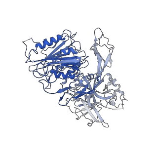 28378_8eok_D_v1-0
Structure of the C3bB proconvertase in complex with lufaxin and factor Xa