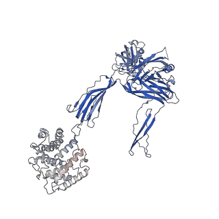 28378_8eok_H_v1-0
Structure of the C3bB proconvertase in complex with lufaxin and factor Xa