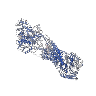 28451_8eop_A_v1-1
Cryo-EM Structure of Nanodisc reconstituted human ABCA7 EQ mutant in ATP bound closed state