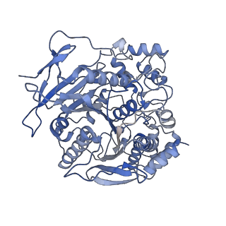 28465_8eor_A_v1-1
Liver carboxylesterase 1