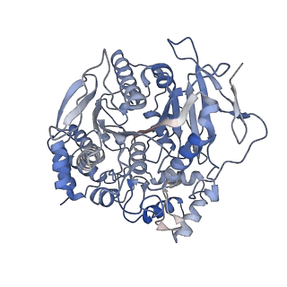 28465_8eor_B_v1-1
Liver carboxylesterase 1