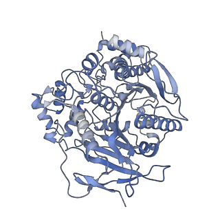28465_8eor_C_v1-1
Liver carboxylesterase 1