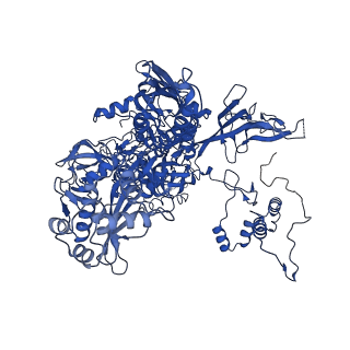 28466_8eos_C_v1-1
M. tuberculosis RNAP elongation complex with NusG and CMPCPP