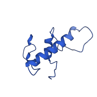 28466_8eos_E_v1-1
M. tuberculosis RNAP elongation complex with NusG and CMPCPP