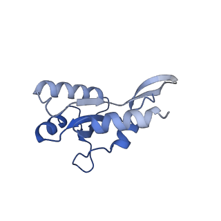 28466_8eos_G_v1-1
M. tuberculosis RNAP elongation complex with NusG and CMPCPP