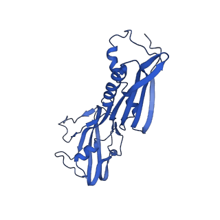 28467_8eot_B_v1-1
M. tuberculosis RNAP elongation complex with NusG