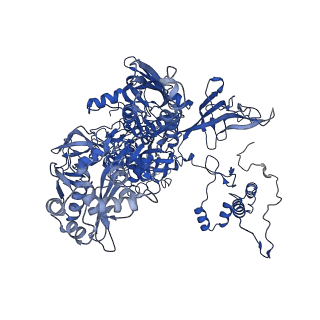 28467_8eot_C_v1-1
M. tuberculosis RNAP elongation complex with NusG