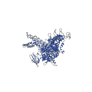 28467_8eot_D_v1-1
M. tuberculosis RNAP elongation complex with NusG