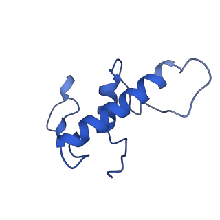 28467_8eot_E_v1-1
M. tuberculosis RNAP elongation complex with NusG