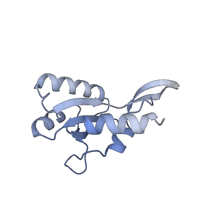 28467_8eot_G_v1-1
M. tuberculosis RNAP elongation complex with NusG