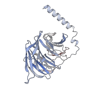 31225_7eo2_C_v1-1
Cryo-EM of Sphingosine 1-phosphate receptor 1 / Gi complex bound to FTY720p