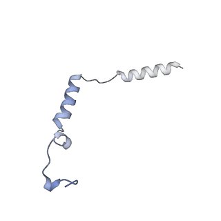 31226_7eo4_D_v1-1
Cryo-EM of Sphingosine 1-phosphate receptor 1 / Gi complex bound to BAF312