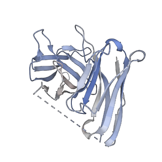 31226_7eo4_E_v1-1
Cryo-EM of Sphingosine 1-phosphate receptor 1 / Gi complex bound to BAF312