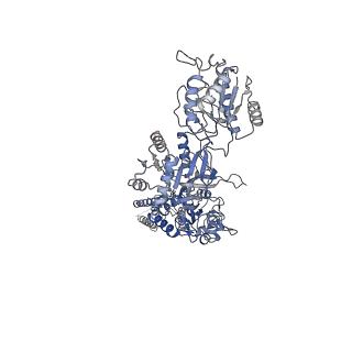 31227_7eoq_A_v1-2
Structure of the human GluN1/GluN2A NMDA receptor in the glycine/CPP bound state