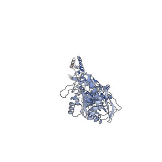 31227_7eoq_B_v1-2
Structure of the human GluN1/GluN2A NMDA receptor in the glycine/CPP bound state