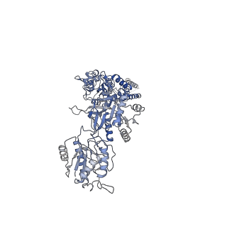 31227_7eoq_C_v1-2
Structure of the human GluN1/GluN2A NMDA receptor in the glycine/CPP bound state
